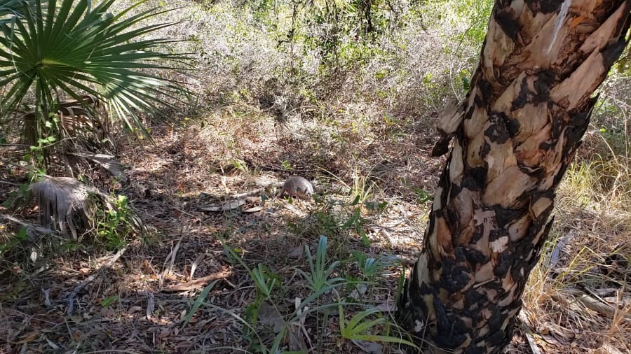 Weedon Island Preserve Cultural and Natural History Center – photo 2